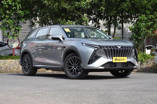 可油可电SUV，可选7座，综合续航1200km，10万级家用SUV看这款！