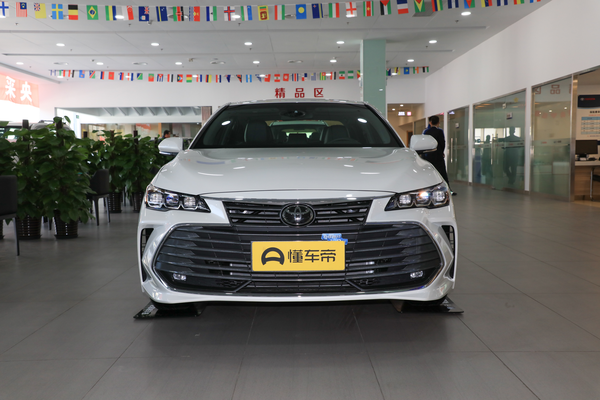 亚洲龙 2019款 2.0L 豪华版 国VI驱动方式_底盘/转向图