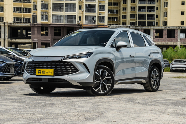 宋L DM 2024款 DM-i 160KM超越型电池类型_电池/充电图