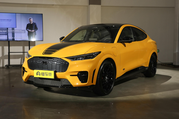 福特电马 2024款 GT风暴版厂商_基本信息图