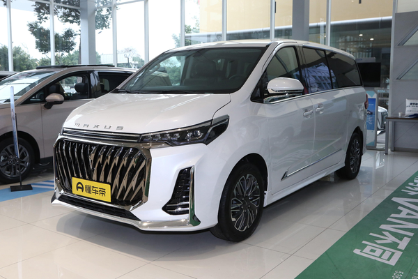 大通G20 2023款 改款 PLUS 2.0T 汽油自动尊雅版厂商_基本信息图