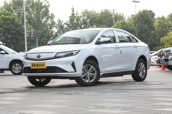 枫叶60s 2022款 易行版 磷酸铁锂厂商_基本信息图