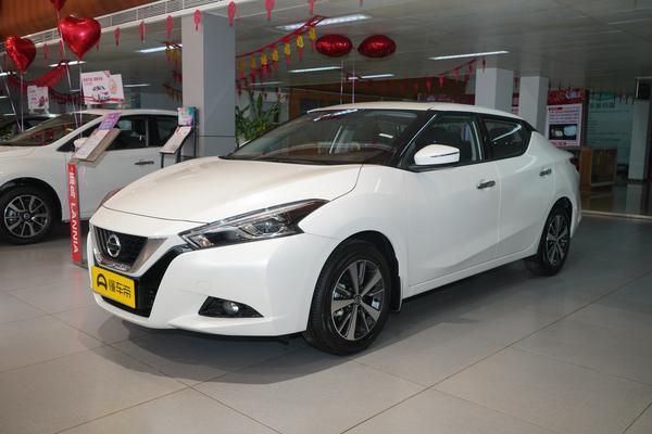 蓝鸟 2019款 1.6L 手动炫酷版 国V厂商_基本信息图