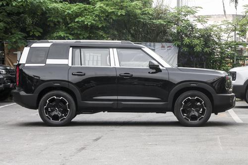 连续6月销量连涨，带1.5T插混，喝92油，售价亲民，家用看TA