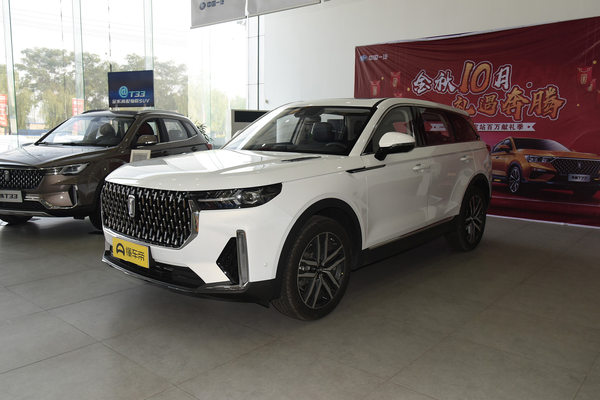 奔腾T99 2019款 20TD 自动尊贵型厂商_基本信息图