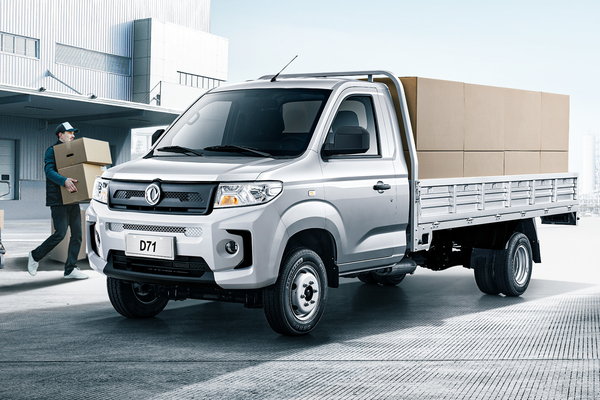 东风小康D71 2022款 2.0L LV1 SFG20B能源类型_基本信息图