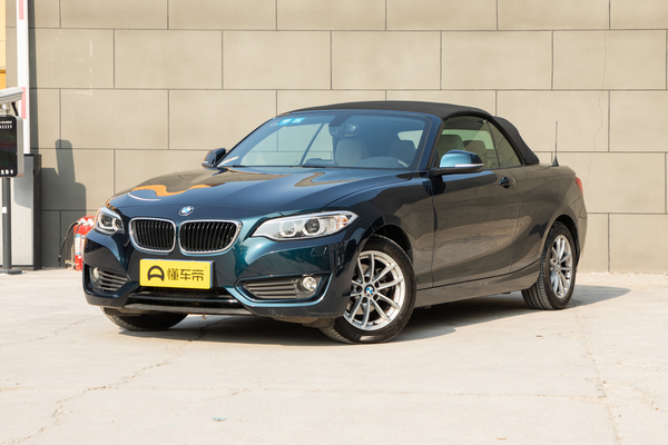 宝马2系(进口) 2015款 218i 敞篷轿跑车车窗防夹手功能_玻璃/后视镜图