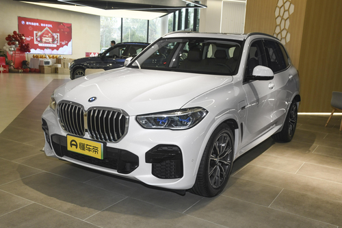 宝马X5 PHEV每月用车成本3309元，是否属于经济型汽车？