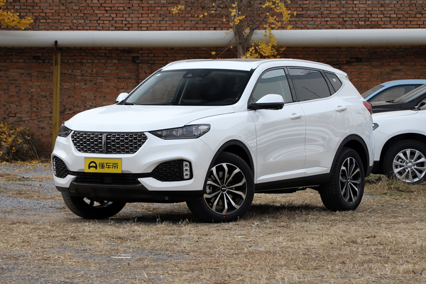 魏牌 VV6 2020款 2.0T 两驱Collie智行+厂商_基本信息图