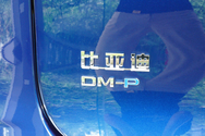 DM-P徽标