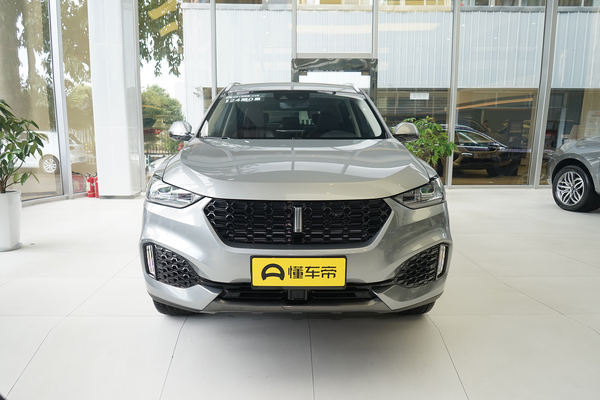 魏牌 VV6 2019款 2.0T 两驱旗舰型 国VI能源类型_基本信息图