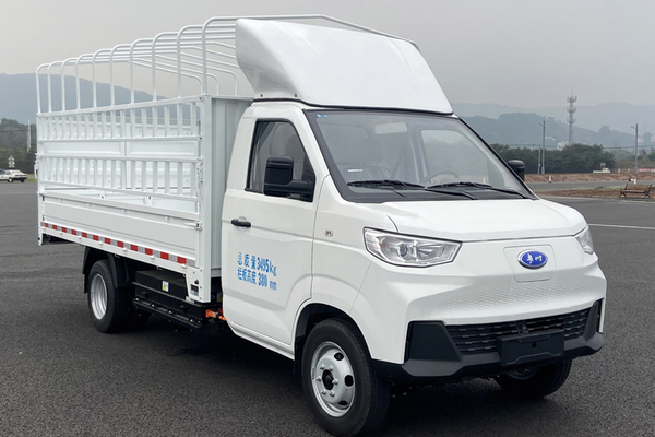 长江6号 2024款 3.8米仓栅豪华版宁德时代55.7kWh厂商_基本信息图