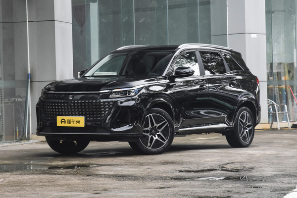 蓝电E5 2024款 荣耀版 100km臻享型厂商_基本信息图