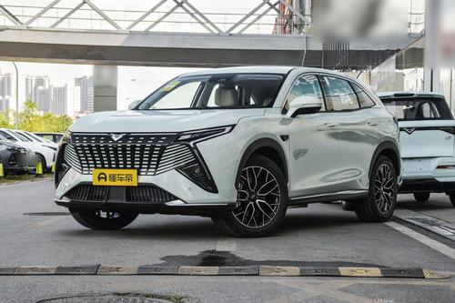 大三排SUV性价比之选，综合续航1200km，喝92粗粮，售10.99万起