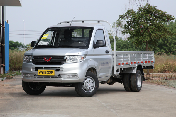 五菱荣光新卡 2023款 2.0L 舒适型双后轮单排 2座 LJM20B厂商_基本信息图