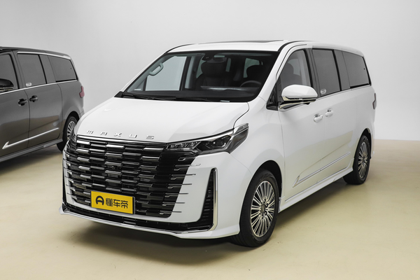 大通G10 2025款 MAX 2.0T汽油 自动旗舰版厂商_基本信息图