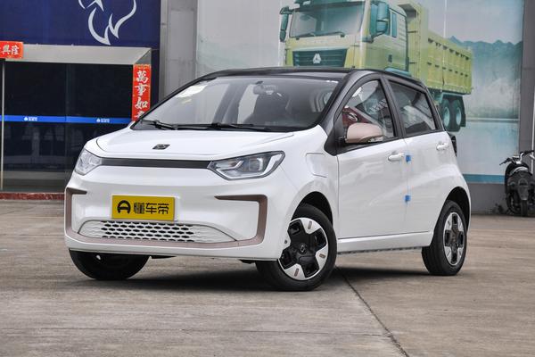 思皓花仙子 2023款 周年款 306KM薰衣草 30kW级别_基本信息图