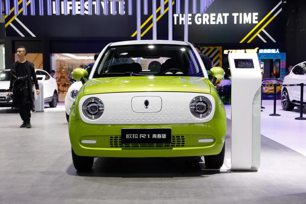 欧拉黑猫 2019款 351km 灵睿版厂商_基本信息图