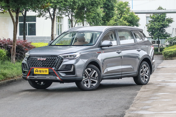 VGV U75PLUS 2021款 2.0TGDI 梦幻旅行版 7座厂商_基本信息图