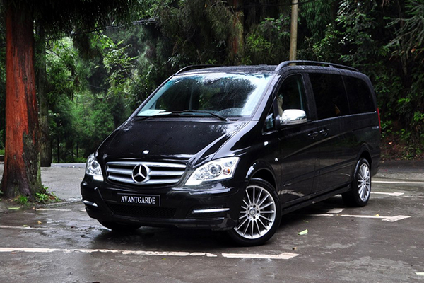 唯雅诺(进口) 2011款 3.5L 125周年纪念版 6座厂商_基本信息图