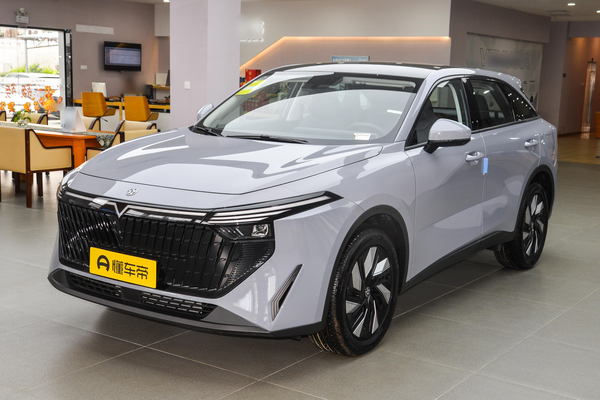 启辰大V DD-i 2024款 110KM iE版车门数(个)_车身图