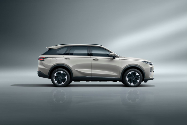 哈弗枭龙MAX PHEV 2025款 1.5L Hi4 高配型电池组质保_电池/充电图