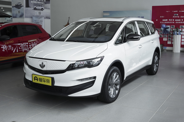 枫叶80v PRO 2022款 舒享型长续航版厂商_基本信息图