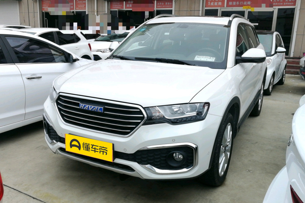 哈弗H6 Coupe 2017款 蓝标 2.0T 自动两驱尊贵型能源类型_基本信息图