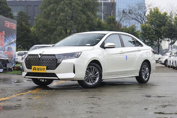 启辰D60 2021款 PLUS 1.6L XE CVT潮领版电动车窗_玻璃/后视镜图