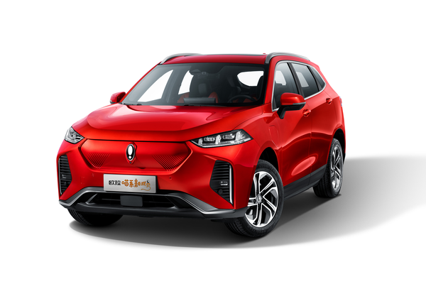 欧拉樱桃猫 2021款 基本型厂商_基本信息图