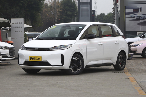 比亚迪D1 2021款 领创版厂商_基本信息图