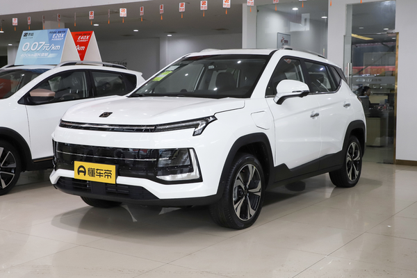 思皓E40X 2021款 金甲版能源类型_基本信息图