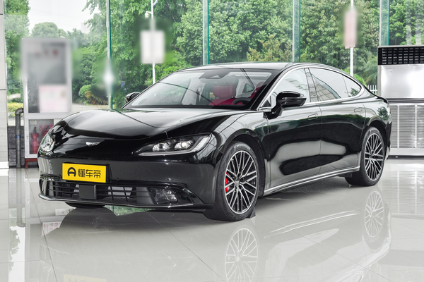 远航Y6 2024款 720km 两驱尊贵版车门开启方式_车身图