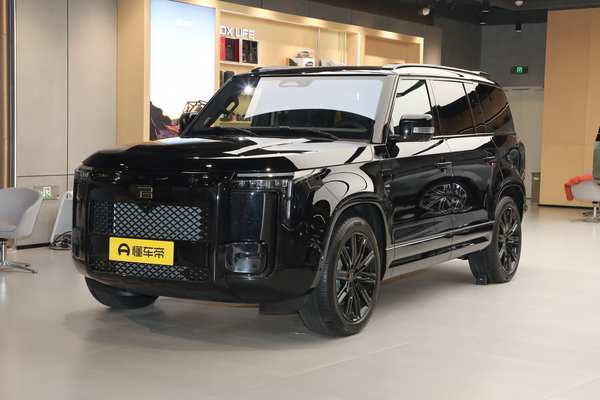 极石ADAMAS 2026款 豪华行政版 6座厂商_基本信息图