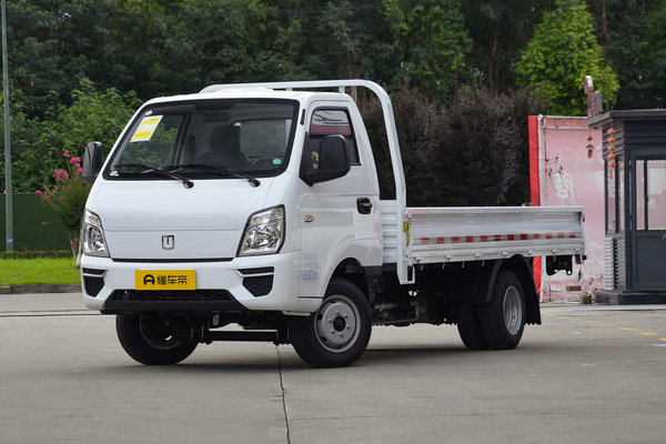 远程星智F5E 2025款 栏板标准版厂商_基本信息图