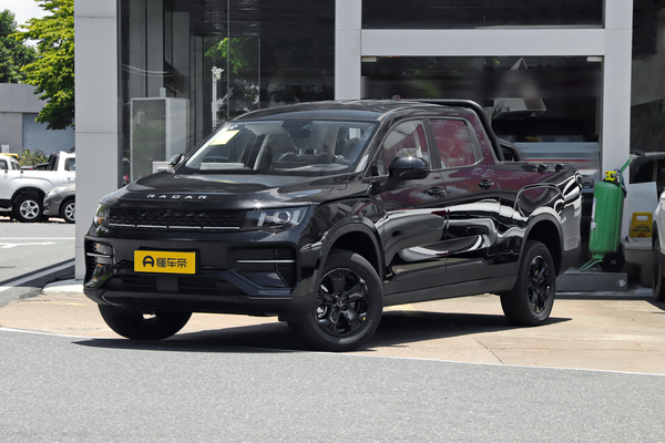 雷达金刚EV 2025款 430km 两驱长箱 招财金刚变速箱_基本信息图
