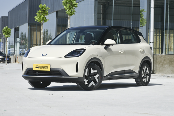 缤果S 2025款 325km 旗舰款厂商_基本信息图