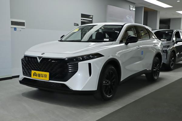 启辰大V 2026款 260T 天王版 Pro级别_基本信息图