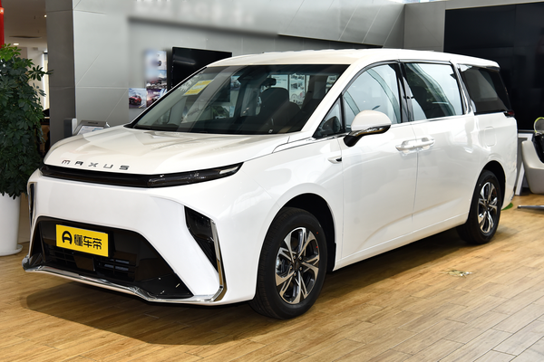 大家9 EV 2025款 长续航 行政七座版电动机总扭矩(N·m)_电动机图