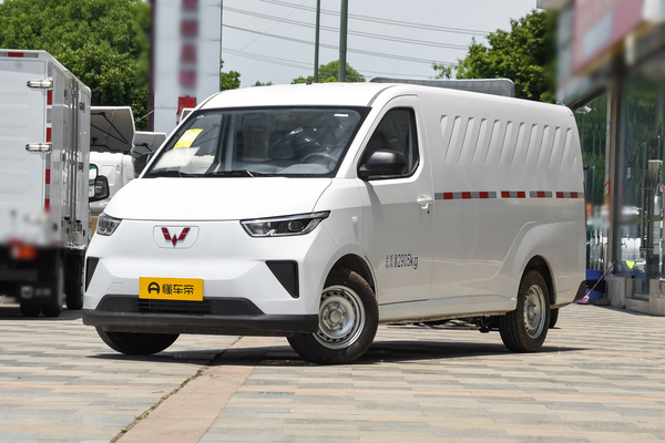 五菱扬光 2024款 300km 实用型封窗版 75kW百公里耗电量(kWh/100km)_基本信息图