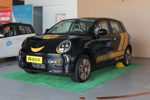 钇为3 2025款 330km 黑凤梨版厂商_基本信息图