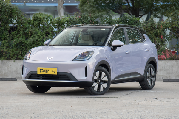 缤果S 2025款 325km 尊享款厂商_基本信息图