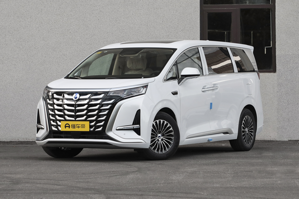 腾势D9 DM 2025款 两驱尊航型厂商_基本信息图