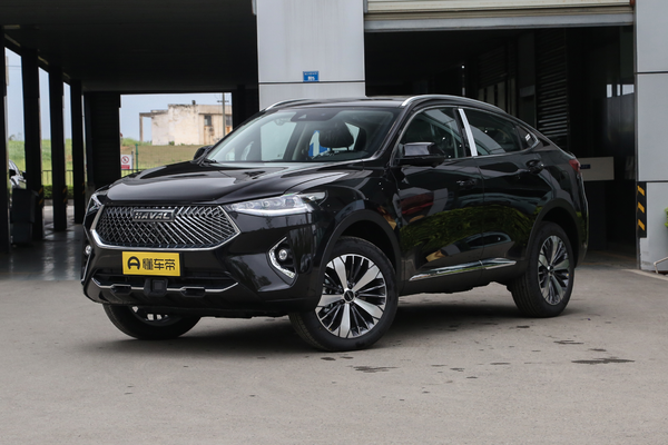 哈弗F7x 2021款 2.0T 两驱极智潮玩版厂商_基本信息图