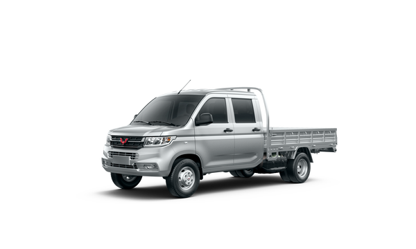 五菱荣光新卡 2023款 2.0L 舒适型双后轮双排 5座 CNG燃料形式_发动机图