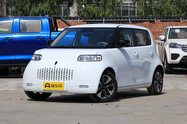 欧拉白猫 2020款 401km旗舰型厂商_基本信息图