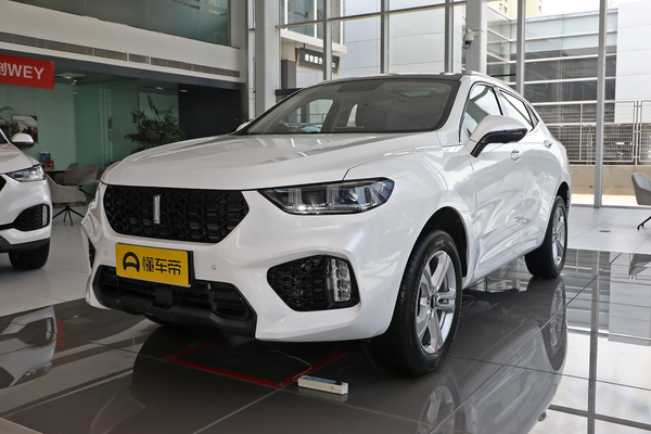 魏牌 VV5 2019款 1.5T 两驱颜先锋厂商_基本信息图