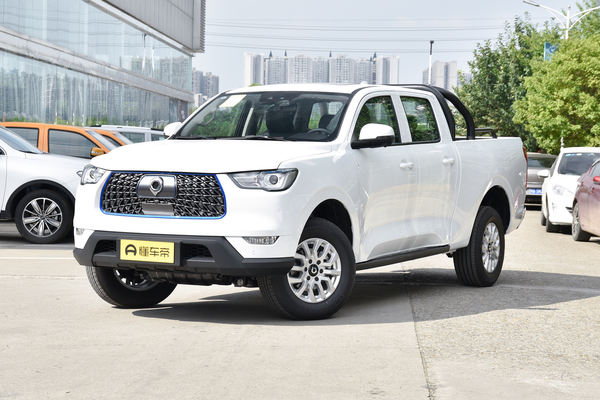 炮EV 2021款 商用版领航型 长箱厂商_基本信息图