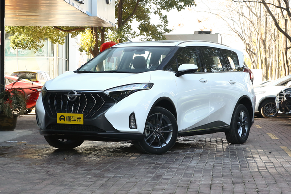 海马7X 2020款 1.6TGDI 自动豪华型 7座厂商_基本信息图