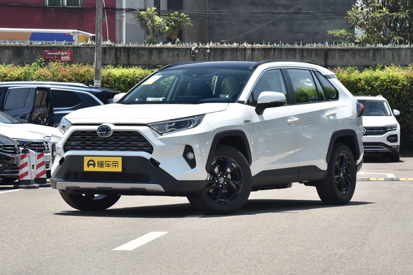 RAV4荣放 2021款 双擎 2.5L CVT四驱旗舰版能源类型_基本信息图